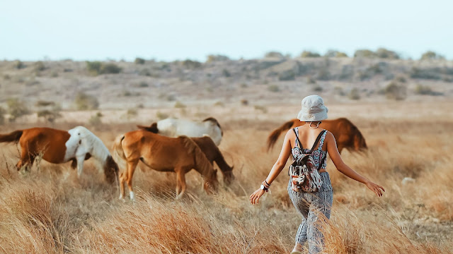 Travel Blogger Travel Blogger Indonesia, Travel Blogger, Travel Blogger 2018, Travel Blogger yang wajib diketahui, Travel Blogger yang wajib di follow, travel blogger hits, travel blogger keren, instagram travel blogger indonesia, @her_journeys