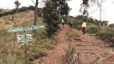 Gunung Cikuray Jalur pendakian gunung cikuray, pos pemancar gunung cikuray, trek gunung cikuray, cara menuju gunung cikuray, terminal guntur menuju pos pemancar, pos pemancar cikuray, pos 1 cikuray, pos 2 cikuray, pos 3 cikuray, pos 4 cikuray, pos 5 cikuray, puncak cikuray, trek awal kebun teh, trek awal cikuray, gunung cikuray mistis, gunung cikuray horor, pengalaman mistis di gunung, pendakian, pendaki indonesia, Gunung di Indonesia, gunung di jawa barat, gunung cikuray, gunung cikuray 2818, ketinggian gunung cikuray,