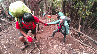 Gunung Cikuray Jalur pendakian gunung cikuray, pos pemancar gunung cikuray, trek gunung cikuray, cara menuju gunung cikuray, terminal guntur menuju pos pemancar, pos pemancar cikuray, pos 1 cikuray, pos 2 cikuray, pos 3 cikuray, pos 4 cikuray, pos 5 cikuray, puncak cikuray, trek awal kebun teh, trek awal cikuray, gunung cikuray mistis, gunung cikuray horor, pengalaman mistis di gunung, pendakian, pendaki indonesia, Gunung di Indonesia, gunung di jawa barat, gunung cikuray, gunung cikuray 2818, ketinggian gunung cikuray,