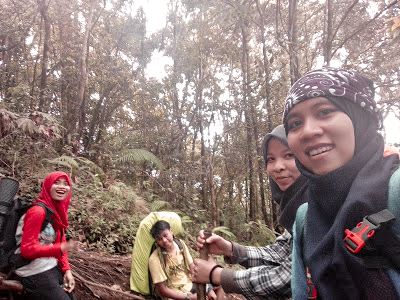 Gunung Cikuray Jalur pendakian gunung cikuray, pos pemancar gunung cikuray, trek gunung cikuray, cara menuju gunung cikuray, terminal guntur menuju pos pemancar, pos pemancar cikuray, pos 1 cikuray, pos 2 cikuray, pos 3 cikuray, pos 4 cikuray, pos 5 cikuray, puncak cikuray, trek awal kebun teh, trek awal cikuray, gunung cikuray mistis, gunung cikuray horor, pengalaman mistis di gunung, pendakian, pendaki indonesia, Gunung di Indonesia, gunung di jawa barat, gunung cikuray, gunung cikuray 2818, ketinggian gunung cikuray,