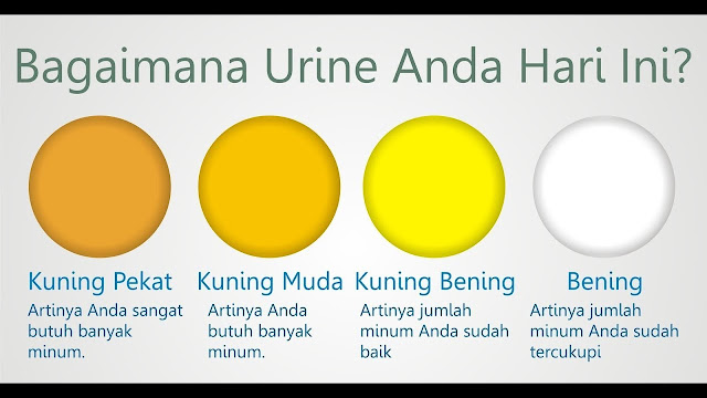 Warna air kencing Warna air kencing, Warna urine, kenali warna air kencing, kenali tanda kesehatan tubuh melalui warna urine, cek kesehatan tubuh melalui urine, cek kesehatan tubuh melalui air kencing, tanda tubuh kamu tidak sehat lihat warna kencing, kenali tanda warna air kencing kamu normal, urine, air kencing, pipis, tanda kamu tidak sehat kenali dari warna air pipis kamu